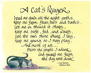 465-1114-a-cats-prayer